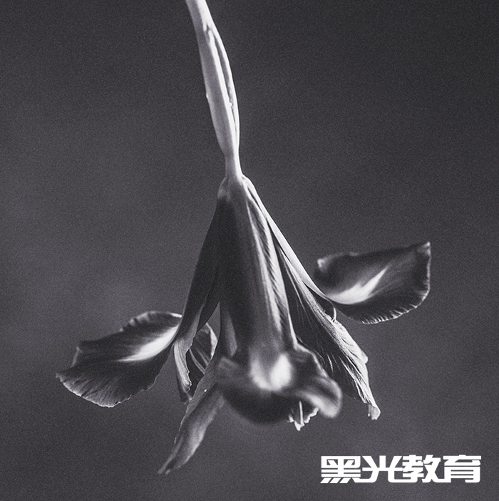 摄影师培训多久